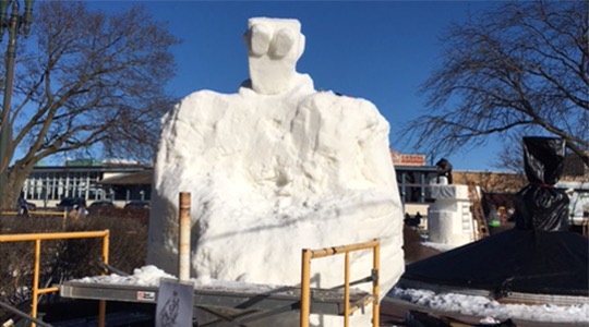 Head and shoulders of the snow robot